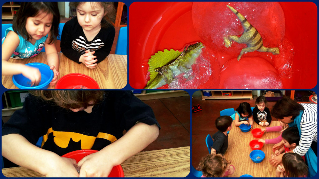 Science pre K 1