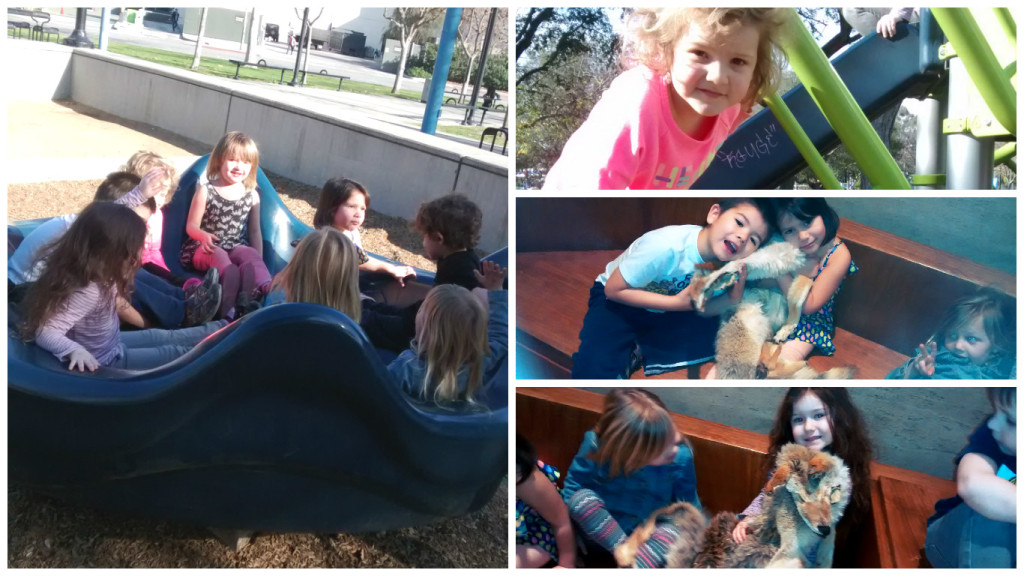 prek field trip collage