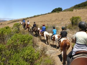 Horseback