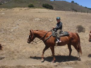 Horseback3